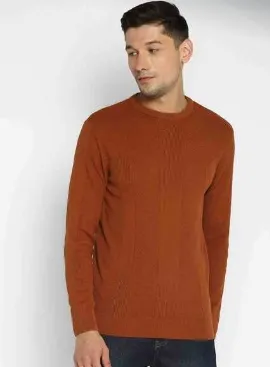 orange tshirt full sleeve for men